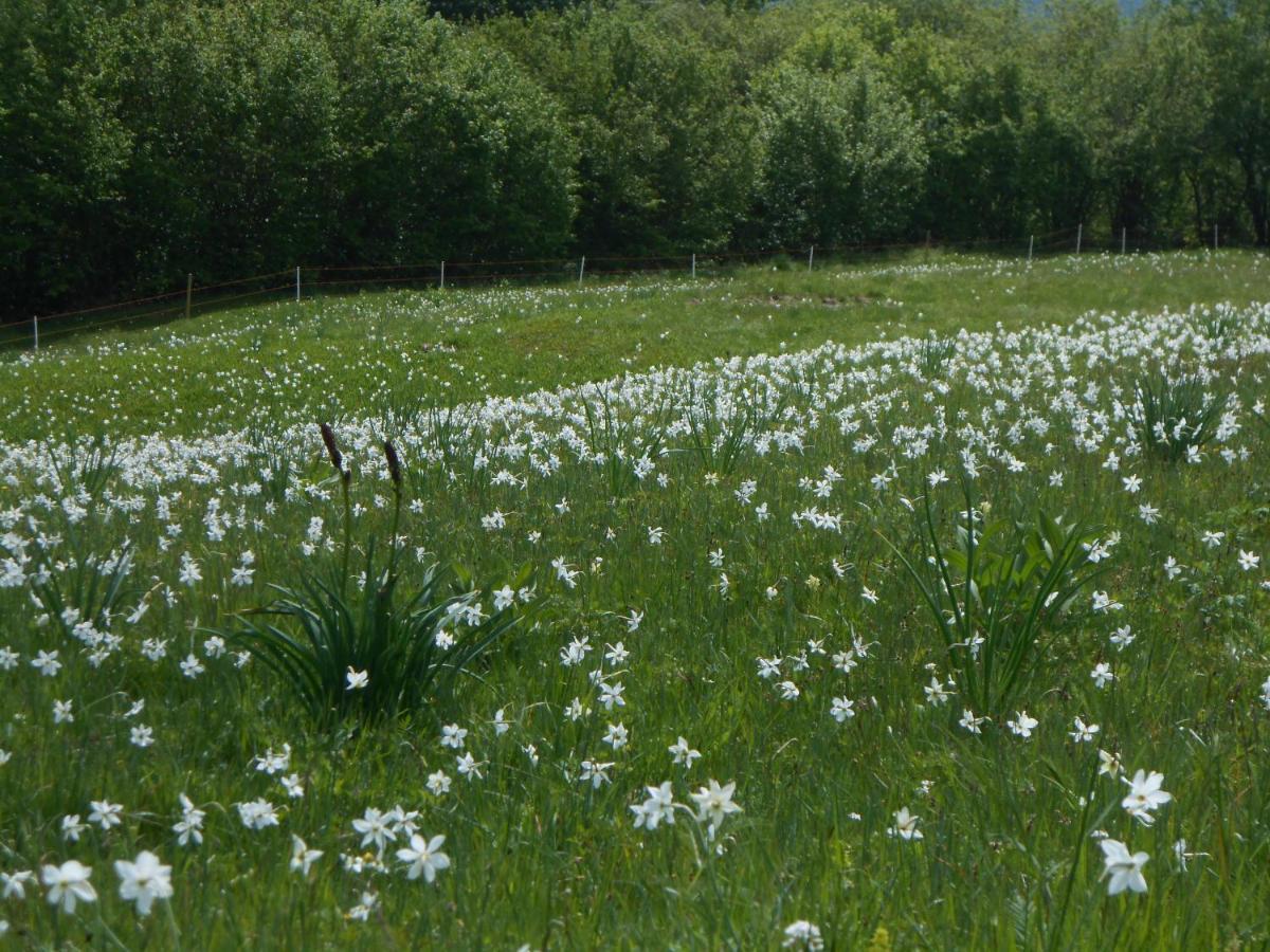 Agriturismo La Casa Nei Boschi Colderu Eksteriør bilde