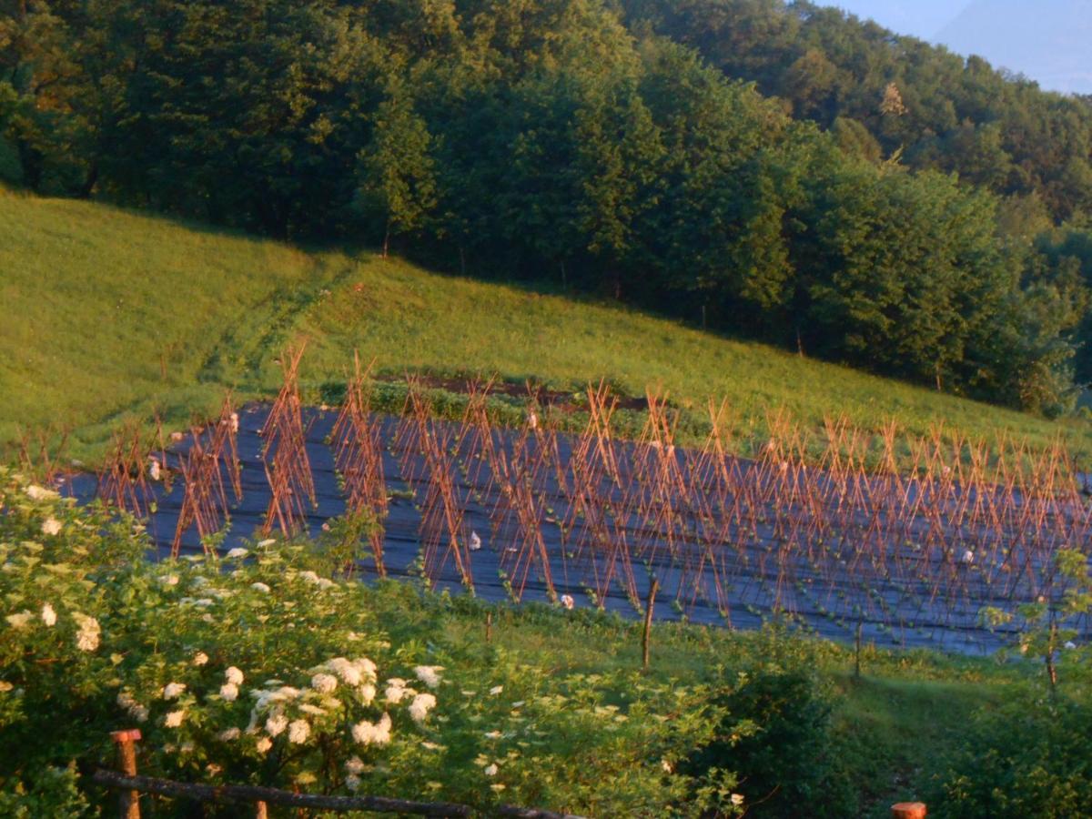 Agriturismo La Casa Nei Boschi Colderu Eksteriør bilde