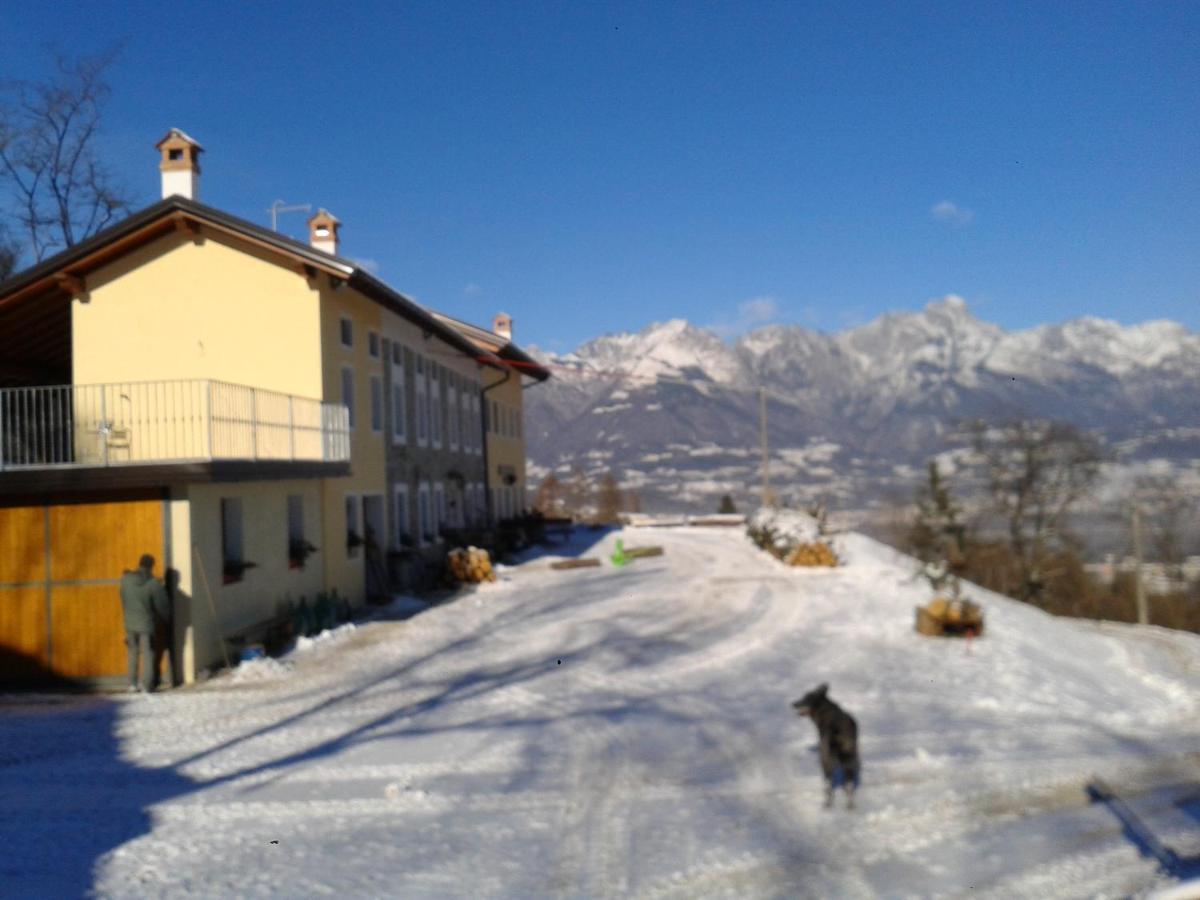 Agriturismo La Casa Nei Boschi Colderu Eksteriør bilde